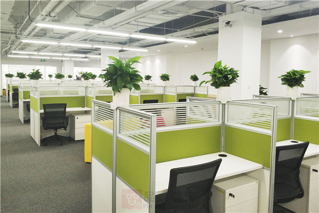 360公司办公室装修实景图